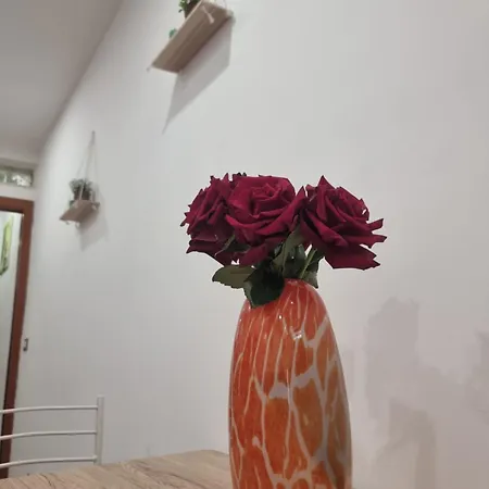아파트 Stella Rosa
